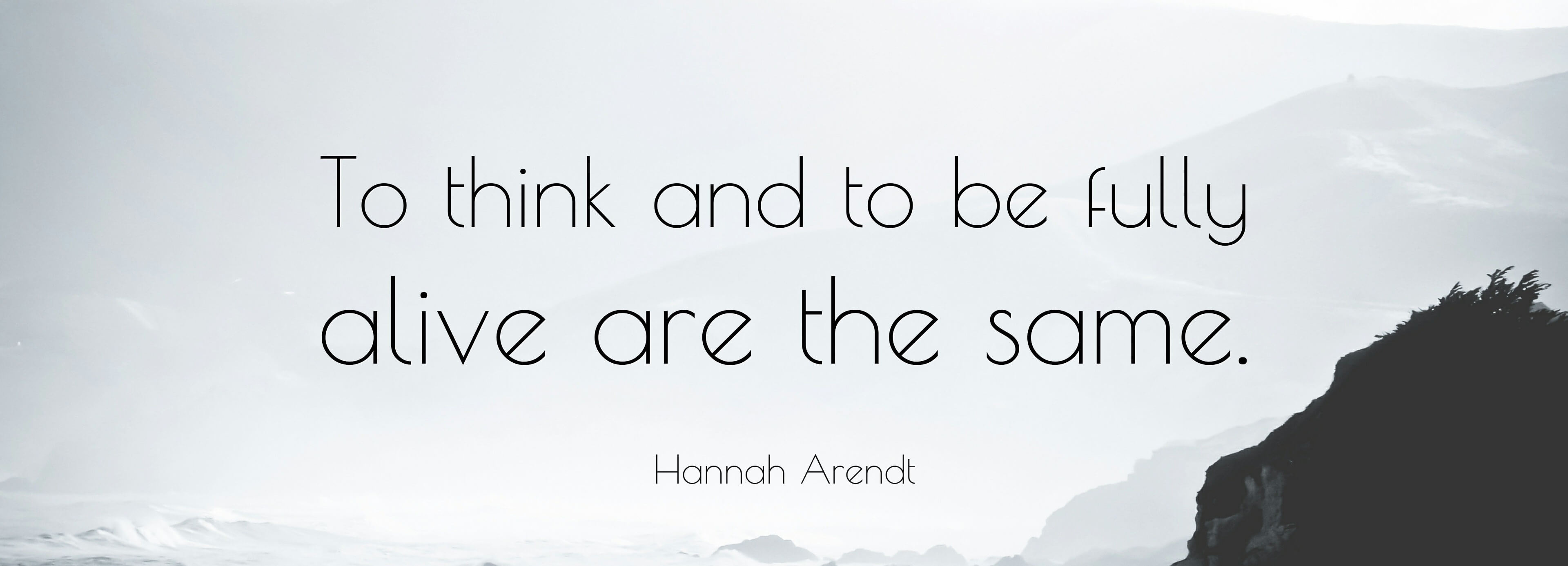 Hannah Arendt Quote
